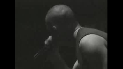 Swinging Utters - Windspitting Punk