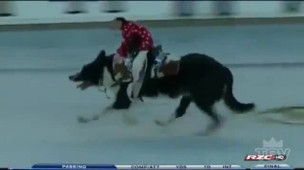 Tgv - Fa!ls Wins - Compilation смях