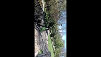Vid_20230415_144732.mp4