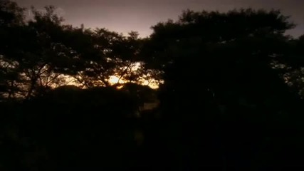 Pink Floyd - Coming Back To Life 