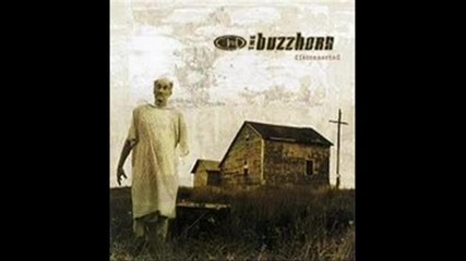 The Buzzhorn - Ordinary