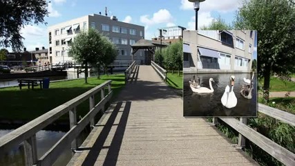 Aalsmeer ( Градче в Холандия ) 