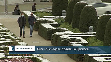 няг изненада жителите на Брюксел