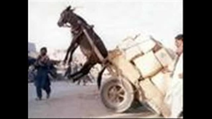 Смешни неща - 1 част