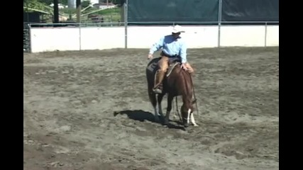 Cutting Horse Training, 3-yr-old, part 1