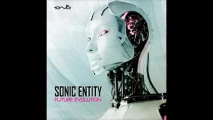 Sonic Entity - Dephts of The Human Fall