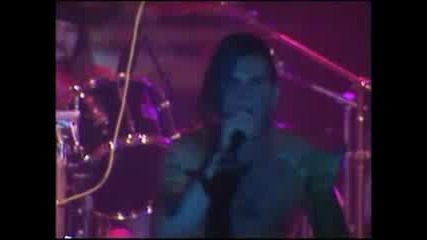 Pantera - Art Of Shredding Live