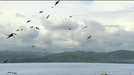 Omar Akram - Free as a Bird