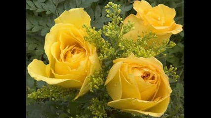 За всички , които харесват Yanni и цветята