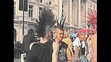 Saccara - Kommi - Stinker (antifa)