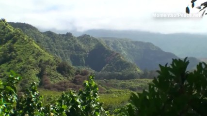 Healing music meditation music relax mind body relaxing music slow music