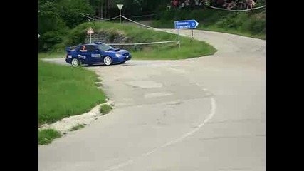 Рали Вида 2009
