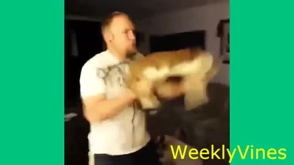 Best Vines Of May 2014