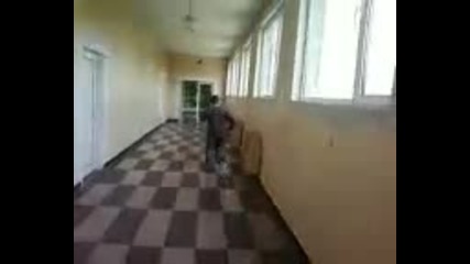 Darko
