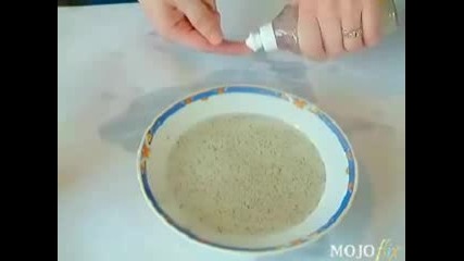 Magic - Trick