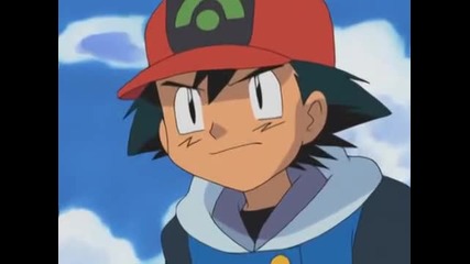 372 Pokemon Training Wrecks