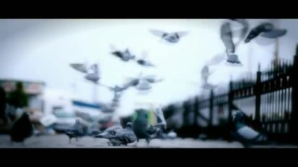 Ferhat Gocer - Mehtabin rengi