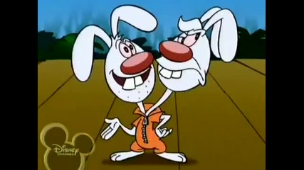 Brandy & Mr. Whiskers - Two heads are Not better than one 