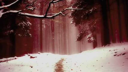 A Light in the Dark - A Melancholic Weekend