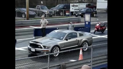 Shelby Super Snake Drag Race