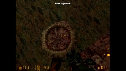 bug na half life 