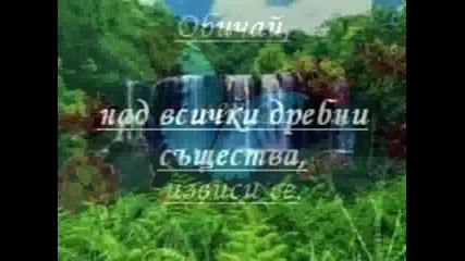 Ти Решаваш