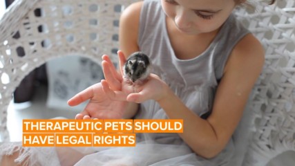 British activists want their therapeutic pets to have equal rights