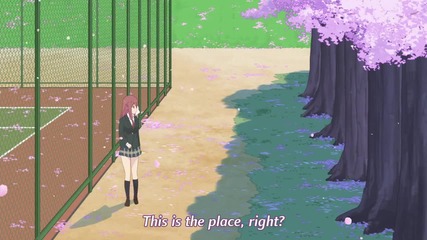 Sakura Trick Episode 12 Final,