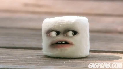 marshmallow murder 