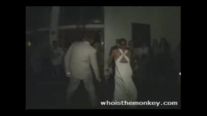 Много Як Танц