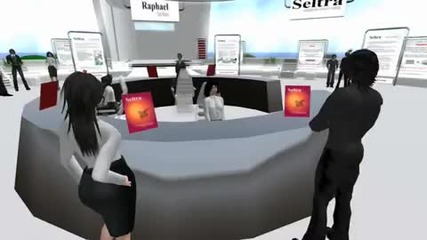 Virtual Business Meeting, Event, and Training Hosting (using Second Life) 