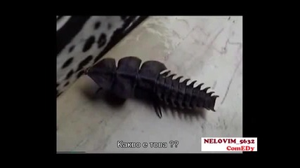 Леле извънземно 