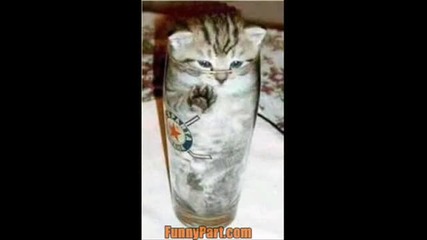 Funny Things 