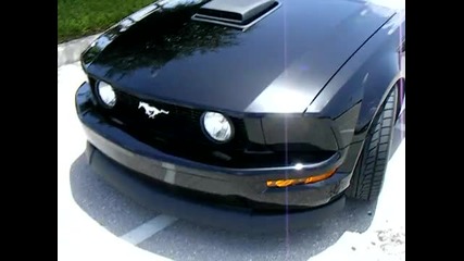2005 Mustang Gt - Hotrod Cams 