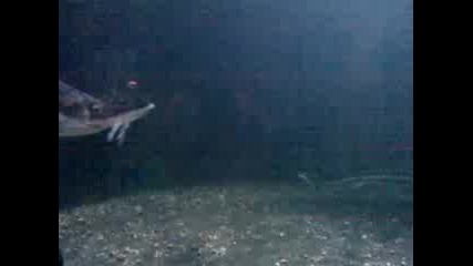 V1359 14 - 09 - 10