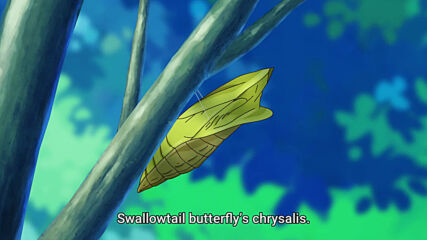 Tropical Rouge Precure Episode 14