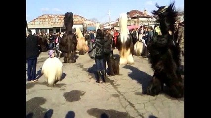 Сурва Струмско 01.01.2012(3)