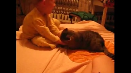 Котка напада дете в игра.