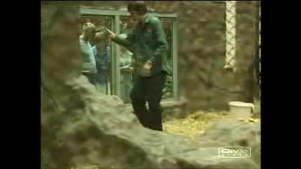 Trigger Happy Tv - зоо пазач