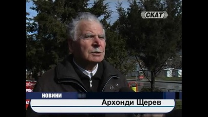 Изсичат борова гора за гробище 