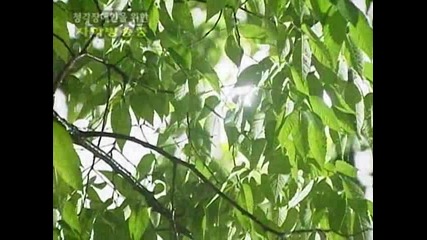 Summer Scent -еп-9 част 1/3