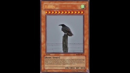 Fascist Magpie's Magpie Yu Gi Oh Deck