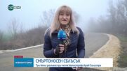 Три жени загинаха при челна катастрофа в Силистренско