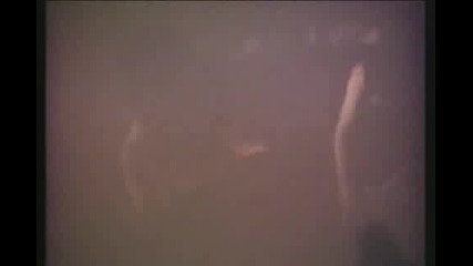 Testament - Disciples Of The Watch - Live - Oakland 1988
