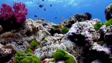 Chris Spheeris - Mediterraneo(relaxing music)