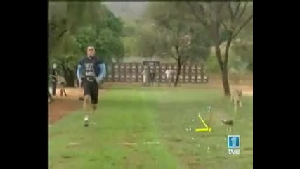 Човек срещу Гепард: Състезание (man vs Cheetah)