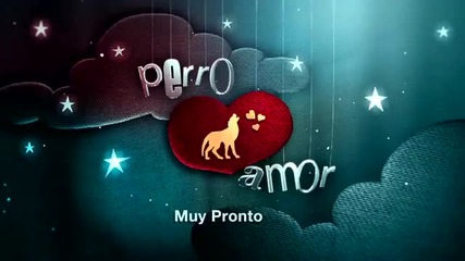 Perro Amor Promo 1 H D 