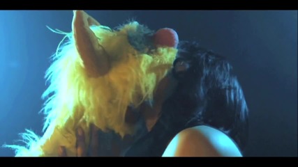The Potbelleez - From The Music 2011 (hq)