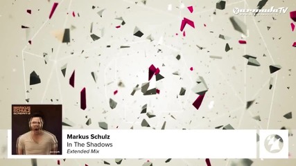 Markus Schulz - In The Shadows