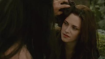 [twilight] New Moon |2010| Never Hurt You